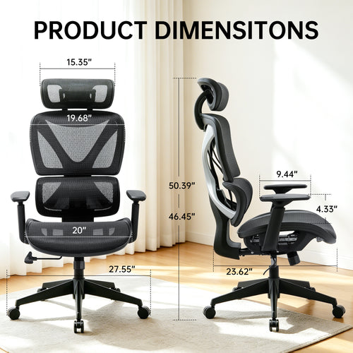 Ergonomic Office Chair