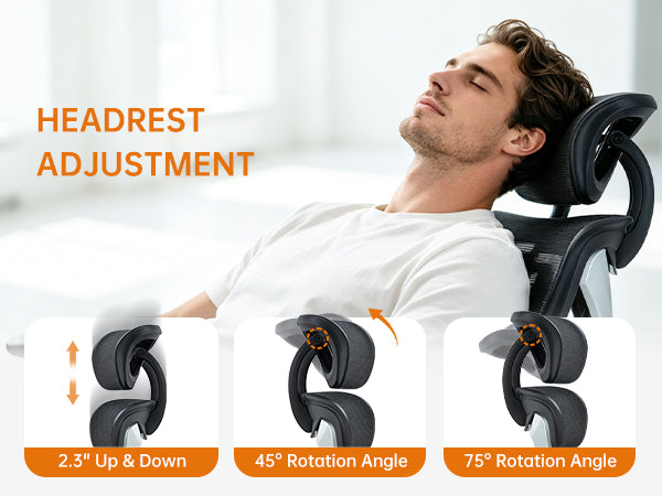 Poloromi | Premium Ergonomic Office Chair